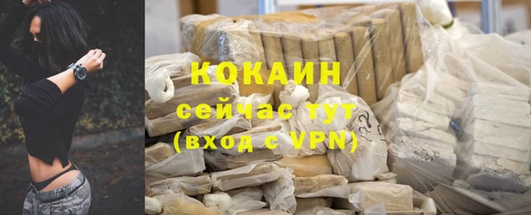 МДПВ Бородино