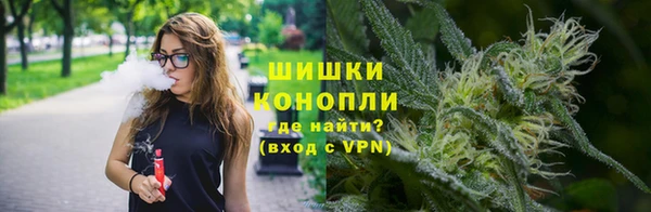 МДПВ Бородино