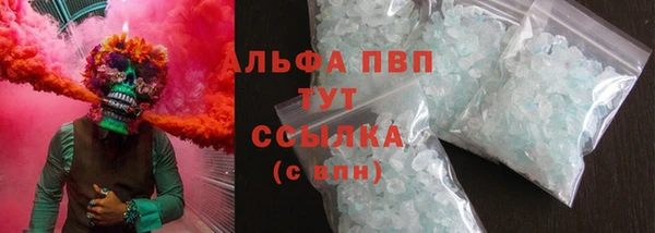 МДПВ Бородино