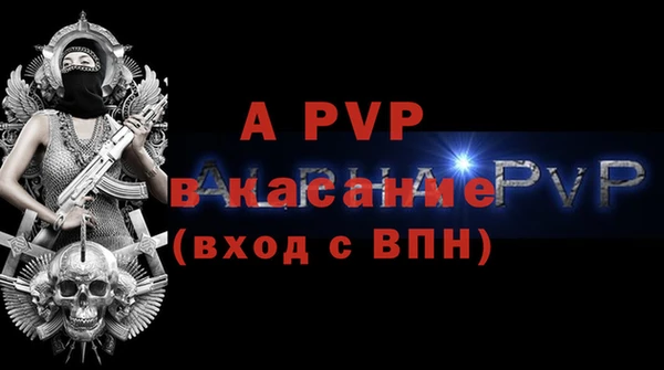 МДПВ Бородино