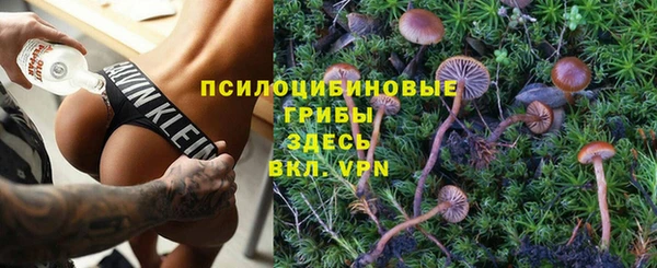 МДПВ Бородино