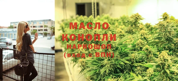 МДПВ Бородино