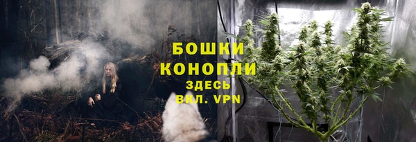 спиды Верея