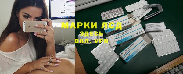 МДПВ Бородино